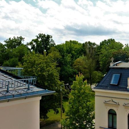 Zentral Gelegene Wohnung Nahe Schwanenteich Zwickau Extérieur photo
