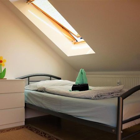 Zentral Gelegene Wohnung Nahe Schwanenteich Zwickau Extérieur photo