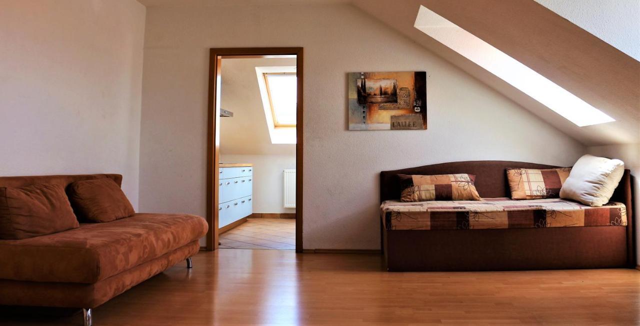 Zentral Gelegene Wohnung Nahe Schwanenteich Zwickau Extérieur photo